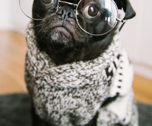 smart glasses